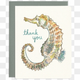 Seahorse Thank You - Northern Seahorse, HD Png Download - sea horse png