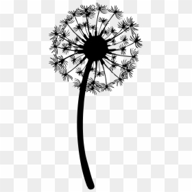 Drawing Clip Art Image Vector Graphics The Dandelion - Black And White Dandelion Clipart, HD Png Download - dandelion vector png