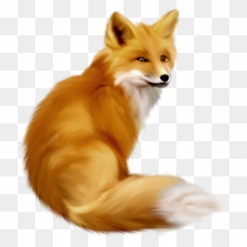 Ezo Red Fox Clipart Graphics Free Clip Art Image - Realistic Fox Clipart, HD Png Download - baby fox png