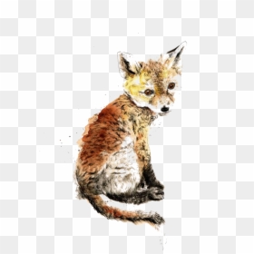 Transparent Baby Fox Png - Fox, Png Download - baby fox png
