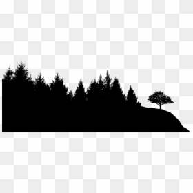 Black Sileohuette Painting Tree - Forest Silhouette Transparent Background, HD Png Download - dark tree png