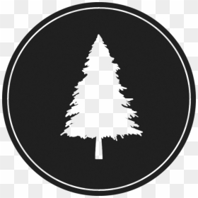 Lplogotreetrans - Lone Pine Brewing, HD Png Download - dark tree png