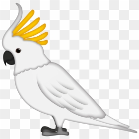 Sulphur-crested Cockatoo, HD Png Download - cockatoo png