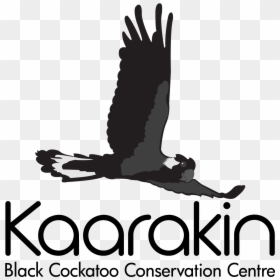 Kaarakin Black Cockatoo Conservation Centre Logo, HD Png Download - cockatoo png