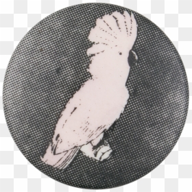 Pere Ubu Not Happy Music Button Museum - Cockatoo, HD Png Download - cockatoo png