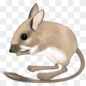 Mouse, Rat Png Image - Rat Transparent Background, Png Download - vhv