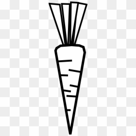 Clip Art Black And White Fireworks Clipart - Clipart Images Black And White Of Carrot, HD Png Download - white fireworks png