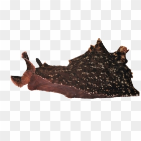 Insect, HD Png Download - hare png