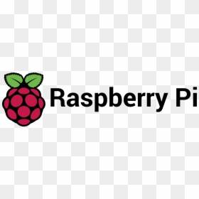 Raspberry Pi Logo Transparent Background - Raspberry Pi Python Logo, HD Png Download - piña colada png