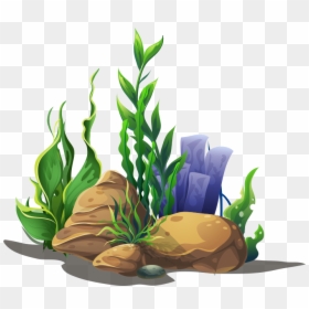 Transparent Office Plant Png - Sea Weeds Clipart Png, Png Download - office plant png
