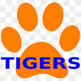 Tigers Drawing Paw Transparent Png Clipart Free Download - Blue And Orange Tiger, Png Download - tony the tiger png