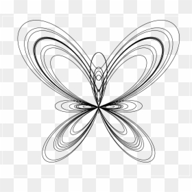 Line Art Drawings Of Butterflies - Art Curve Line Drawing, HD Png Download - curve line png