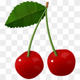 Transparent Cherries Clipart - Cherry Fruit Transparent Hd, HD Png Download - cherry clipart png