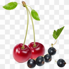 Cherries And Blueberries Png Clipart - Cherries And Blueberries, Transparent Png - cherry clipart png