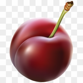 Plum - Plum Clipart Transparent Background, HD Png Download - cherry clipart png