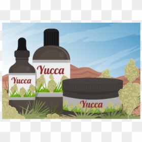 Yucca Scene And Yucca Medicine Extract Of Vector - Tree, HD Png Download - sky vector png