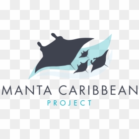 Manta Caribbean Project Logo 1 - Killer Whale, HD Png Download - ghost .png