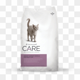 Urinary Support Cat - Diamond Care Urinary, HD Png Download - tabby cat png