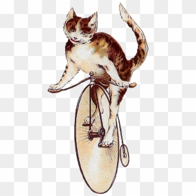 Cat Riding Penny Farthing, HD Png Download - tabby cat png