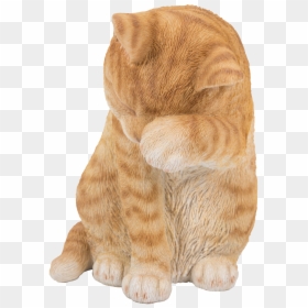 Stuffed Animals Orange Cats, HD Png Download - tabby cat png