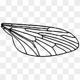 Fly Wings Png - Fly Wings Clip Art, Transparent Png - wings clipart png