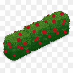 Png Download , Png Download - Hedge Clipart Png, Transparent Png - ground cover png