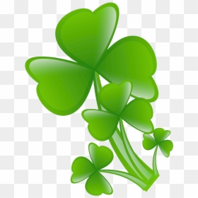 Transparent Four Leaf Clover Clipart - Portable Network Graphics, HD Png Download - clovers png