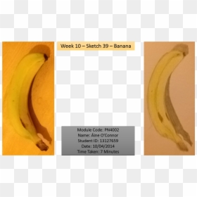 Peeled Banana Png , Png Download - Saba Banana, Transparent Png - peeled banana png