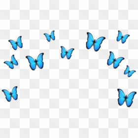 Transparent Blue Crown Clipart - Blue Butterfly Emoji Background, HD Png Download - blue crown png