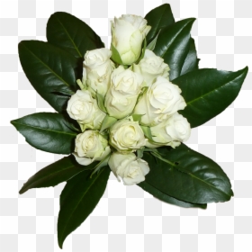 Ramo De Flores, Blanco, Rosas, Hoja - ช่อ ดอกไม้ สี ขาว Png, Transparent Png - ramo de flores png