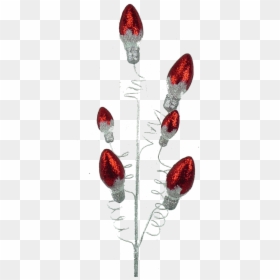 Small Red Light Bulb Spray - Earrings, HD Png Download - christmas light bulb png