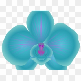 Orchid Clipart Orchid Flower - Blue Orchid Clip Art, HD Png Download - blue vector png