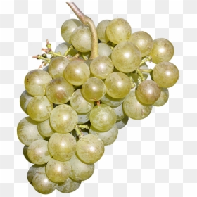 Wine Grapes Free Fruit Delicious Free Photo - Grape, HD Png Download - wine grapes png