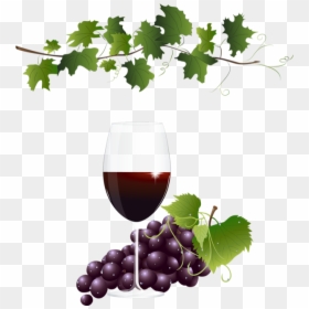 Vendanges, Tube Vin, Raisin - Transparent Background Grapes Clipart, HD Png Download - wine grapes png