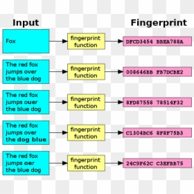 File - Fingerprint - Svg - Checksum Blockchain, HD Png Download - fingerprints png