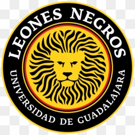 Club Universidad De Guadalajara, HD Png Download - marcos negros png