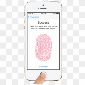 About Touch Id Fingerprint Sensor Security On The Iphone - Apple Touch Id Fingerprint, HD Png Download - fingerprints png