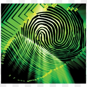 Fp - Graphic Design, HD Png Download - fingerprints png