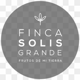 Logo - Circle, HD Png Download - destellos dorados png