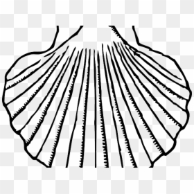 Shell Clipart Mussel Shell - Shell Clipart Black And White, HD Png Download - shell clipart png