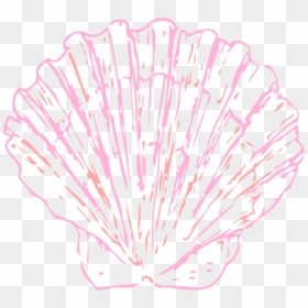 Transparent Seashell Clipart, HD Png Download - shell clipart png
