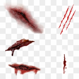 #wounds #bruises #blood #makeup #costume #dressup #halloween - Graphic Design, HD Png Download - bruises png