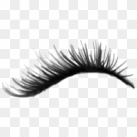 Realistic Eyelashes Transparent Background, HD Png Download - lash png
