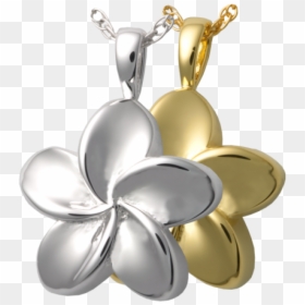 Pendant, HD Png Download - plumeria flower png