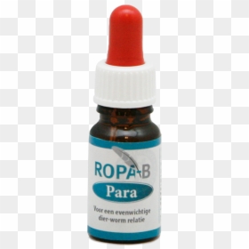 Glass Bottle, HD Png Download - ropa png