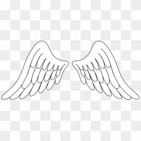 Angels Wings Clip - Angel Wings Drawing Png, Transparent Png - angels wings png