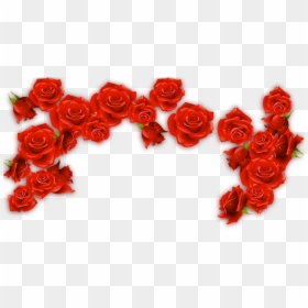 Red Wine Rosxe9 Rose - Red Flower Border Png, Transparent Png - red rose border png