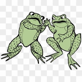 Frog Clip Art, HD Png Download - frogs png