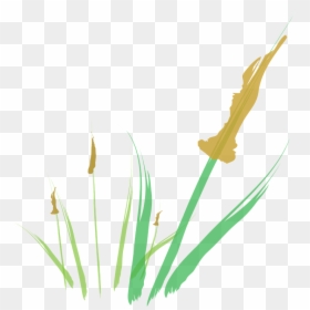 Transparent Cattail Png - Illustration, Png Download - cattail png