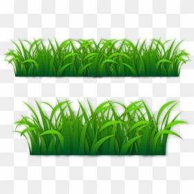 Portable Network Graphics Lawn - Vector Transparent Grass Svg, HD Png Download - cattail png